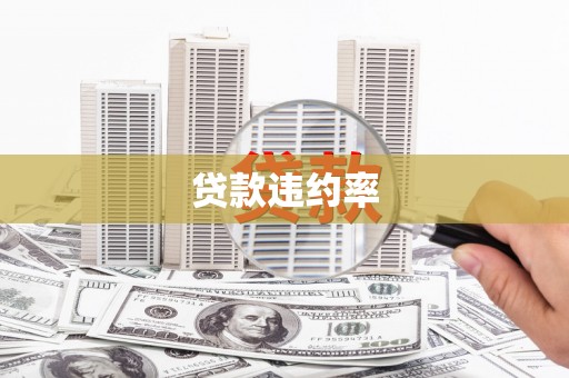 六甲贷款违约率