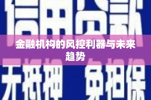 六甲金融机构的风控利器与未来趋势