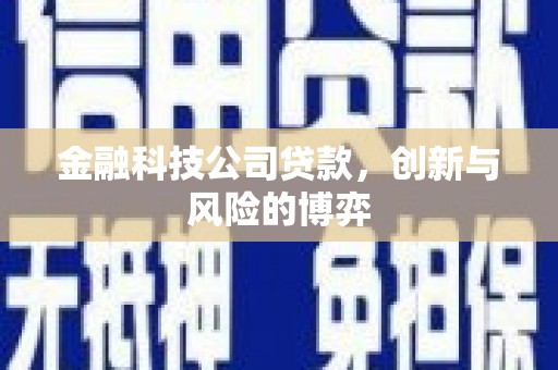 六甲金融科技公司贷款，创新与风险的博弈