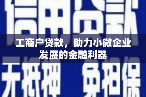 六甲工商户贷款，助力小微企业发展的金融利器