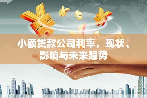 六甲小额贷款公司利率，现状、影响与未来趋势