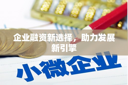 六甲企业融资新选择，助力发展新引擎