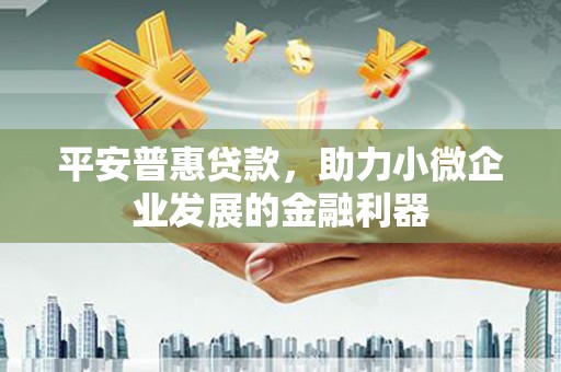 六甲平安普惠贷款，助力小微企业发展的金融利器