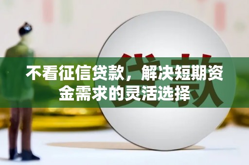 六甲不看征信贷款，解决短期资金需求的灵活选择