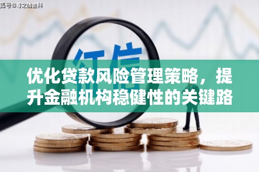 六甲优化贷款风险管理策略，提升金融机构稳健性的关键路径