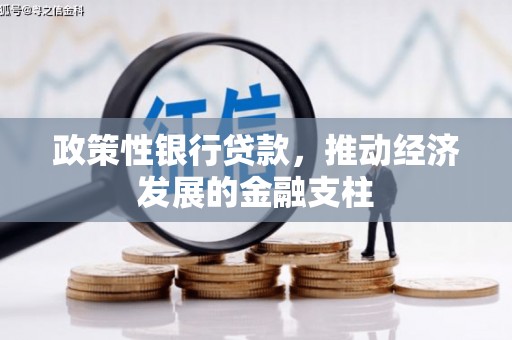 六甲政策性银行贷款，推动经济发展的金融支柱