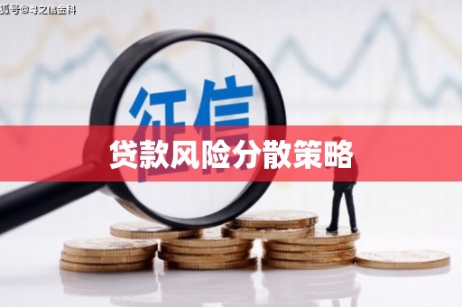 六甲贷款风险分散策略