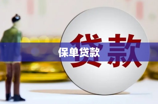 六甲保单贷款