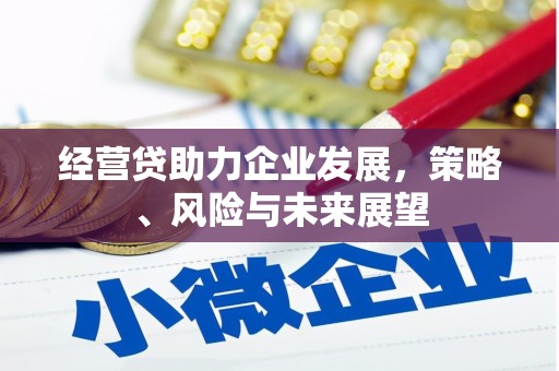 六甲经营贷助力企业发展，策略、风险与未来展望
