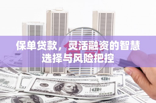 六甲保单贷款，灵活融资的智慧选择与风险把控