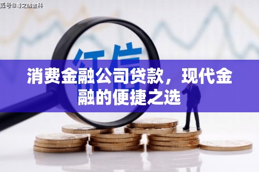 六甲消费金融公司贷款，现代金融的便捷之选