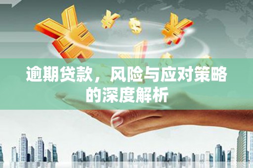 六甲逾期贷款，风险与应对策略的深度解析