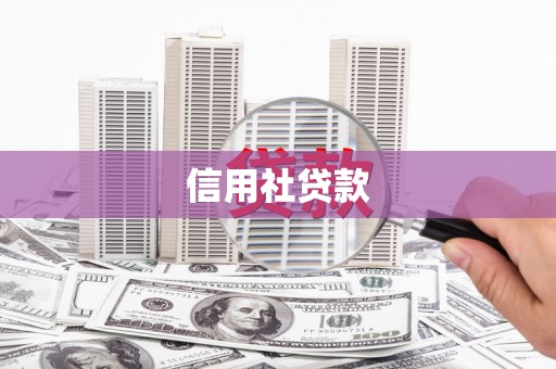 六甲信用社贷款