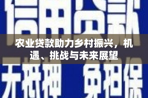 六甲农业贷款助力乡村振兴，机遇、挑战与未来展望