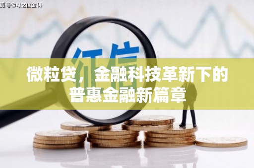 六甲微粒贷，金融科技革新下的普惠金融新篇章