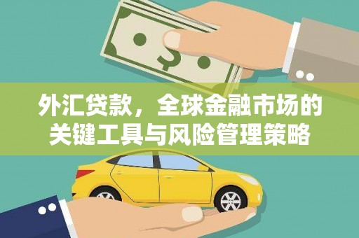 六甲外汇贷款，全球金融市场的关键工具与风险管理策略