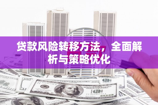 六甲贷款风险转移方法，全面解析与策略优化