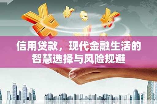 六甲信用贷款，现代金融生活的智慧选择与风险规避