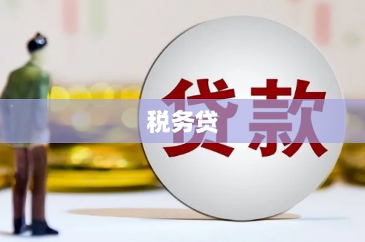 六甲税务贷