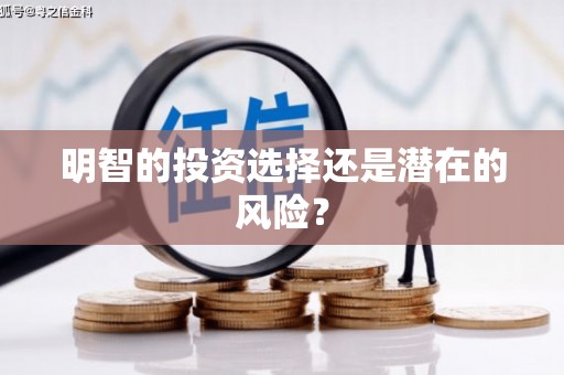 六甲明智的投资选择还是潜在的风险？