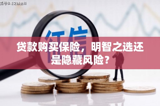 六甲贷款购买保险，明智之选还是隐藏风险？