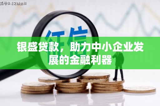 六甲银盛贷款，助力中小企业发展的金融利器
