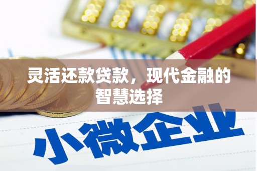 六甲灵活还款贷款，现代金融的智慧选择