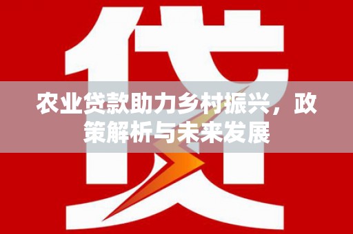 六甲农业贷款助力乡村振兴，政策解析与未来发展