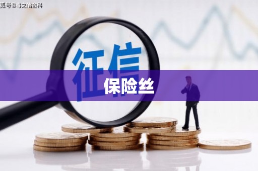 六甲保险丝