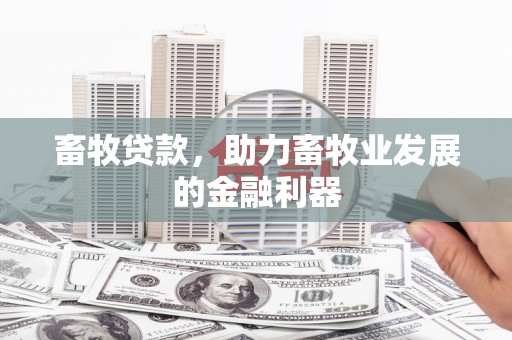 六甲畜牧贷款，助力畜牧业发展的金融利器