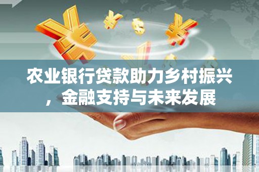 六甲农业银行贷款助力乡村振兴，金融支持与未来发展