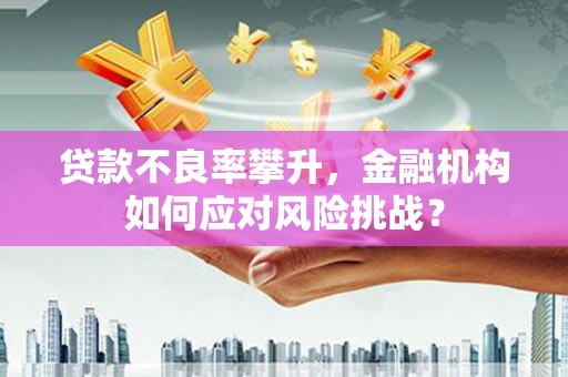 六甲贷款不良率攀升，金融机构如何应对风险挑战？