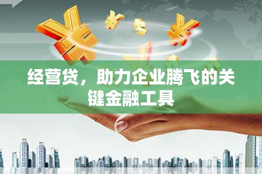 六甲经营贷，助力企业腾飞的关键金融工具