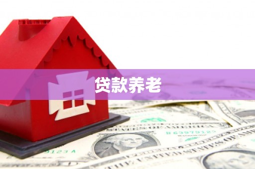 六甲贷款养老