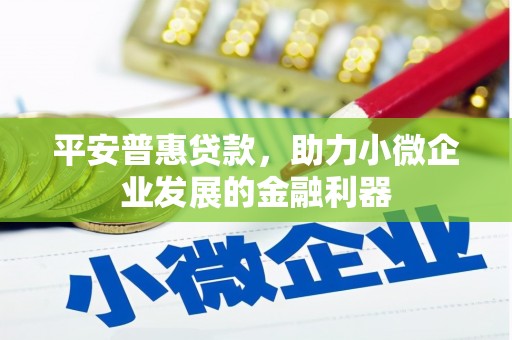 六甲平安普惠贷款，助力小微企业发展的金融利器