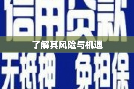 六甲了解其风险与机遇