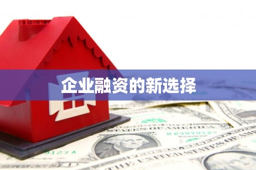 六甲企业融资的新选择