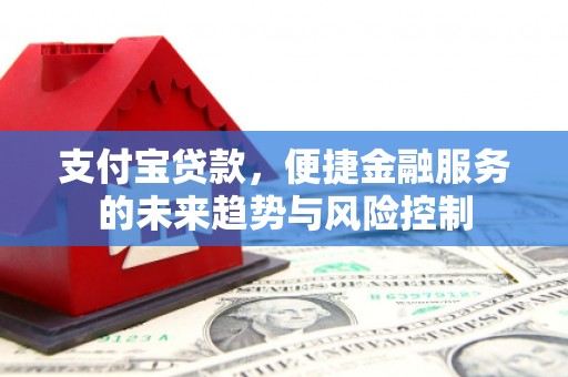 六甲支付宝贷款，便捷金融服务的未来趋势与风险控制