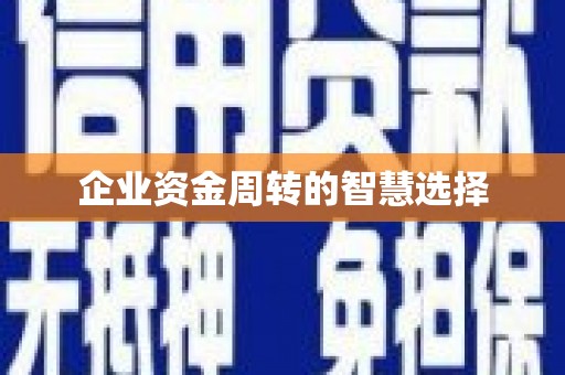 六甲企业资金周转的智慧选择