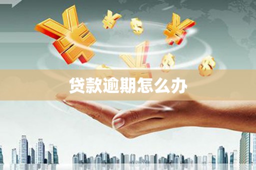 六甲贷款逾期怎么办