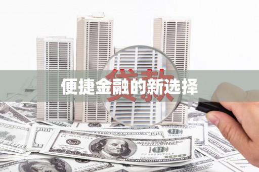 六甲便捷金融的新选择