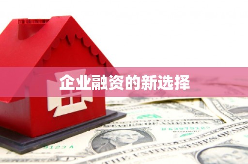 六甲企业融资的新选择