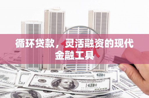 六甲循环贷款，灵活融资的现代金融工具