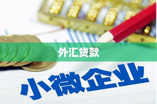 六甲外汇贷款