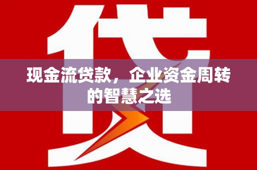 六甲现金流贷款，企业资金周转的智慧之选