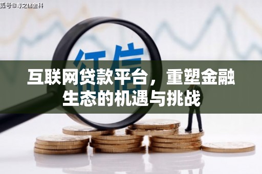六甲互联网贷款平台，重塑金融生态的机遇与挑战