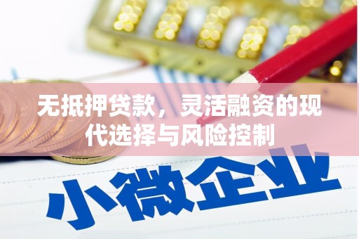 六甲无抵押贷款，灵活融资的现代选择与风险控制