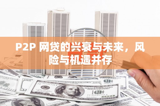 六甲P2P 网贷的兴衰与未来，风险与机遇并存