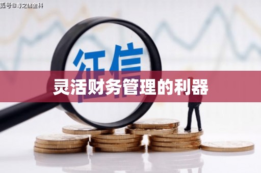 六甲灵活财务管理的利器