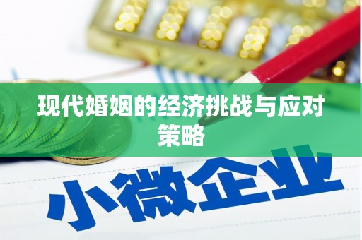 六甲现代婚姻的经济挑战与应对策略